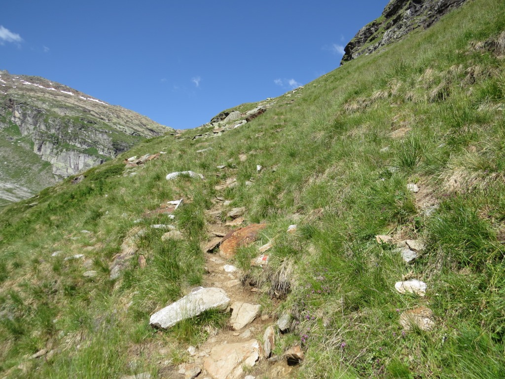 kurz nach diesen beiden pièce de résistance mutiert der Wanderweg...