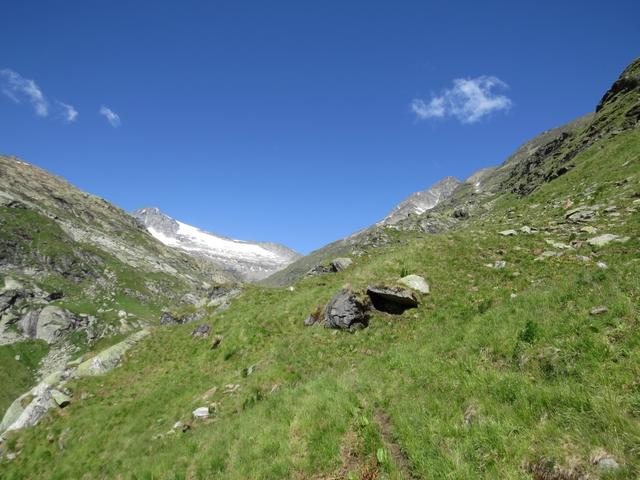 ...wieder zu einem normalen Wanderweg der nun steiler über Punkt 2177 m.ü.M...