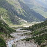 Blick auf den mäandrierenden Hinterrhein