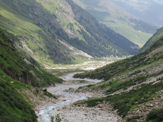 Blick auf den mäandrierenden Hinterrhein