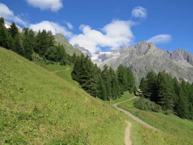 der Weg steigt sanft an