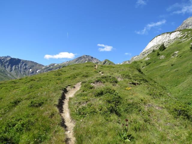 wir durchwandern nun - parallel der Combe des Fonds - ...