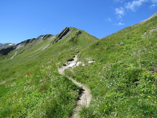 ...wandern wir weiter leicht aufwärts, Richtung kleiner Übergang bei Punkt 2144 m.ü.M.