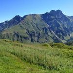schönes Breitbildfoto mit Blick ins Val Ferret und zu den Gipfel von Mont Ferret und Monts Telliers