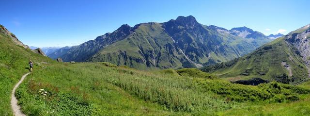 schönes Breitbildfoto mit Blick ins Val Ferret und zu den Gipfel von Mont Ferret und Monts Telliers