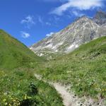 bei Punkt 2144 m.ü.M. geht es danach rechts in das kleine Tälchen von Taves du Dolent