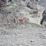 hoch oben über unsere Köpfe, unterhalb des Glacier du Dolent, ist das Biwak du Dolent ersichtlich