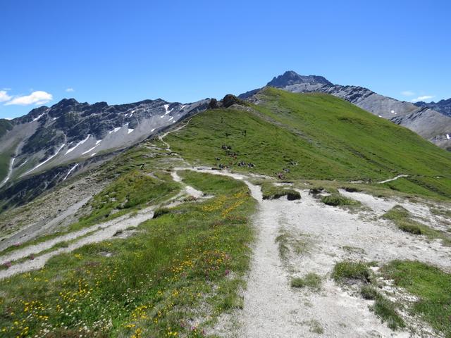 ...alles der Grenze entlang, leicht abwärts zum Grand Col Ferret 2537 m.ü.M.