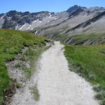 über Les Planfins 2483 m.ü.M. geht es über einen breiten ausgelaufenen Wanderweg...
