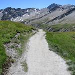 über Les Planfins 2483 m.ü.M. geht es über einen breiten ausgelaufenen Wanderweg...