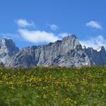 der Berghang des La Dotse ist ein einziges Blumenmeer