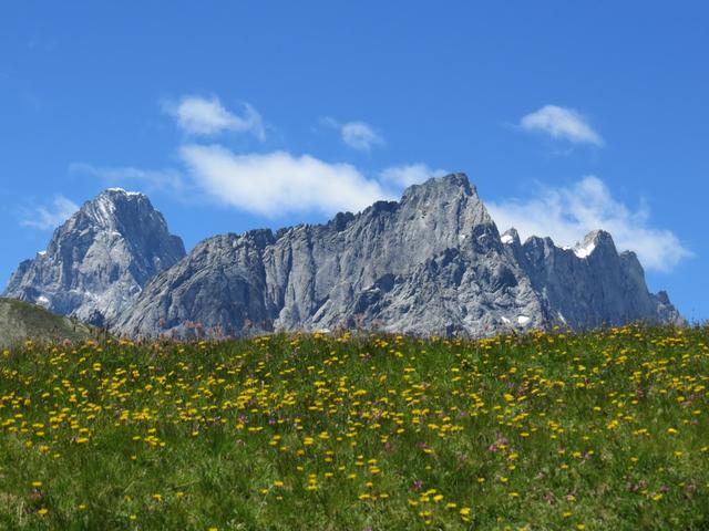 der Berghang des La Dotse ist ein einziges Blumenmeer