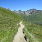 während dem Abstieg geniessen wir die Aussicht ins Val Ferret und zum Monts Telliers