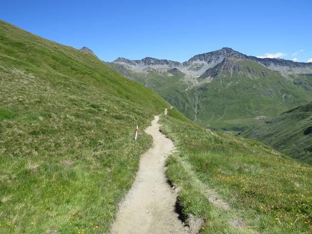 während dem Abstieg geniessen wir die Aussicht ins Val Ferret und zum Monts Telliers