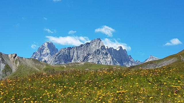 einfach schön. Grandes Jorasses, Pointes des Hirondelles und Aiguille de Leschaux