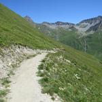 weiter auf einem einfachen Wanderweg bleibend, verlieren wir bequem an Höhe