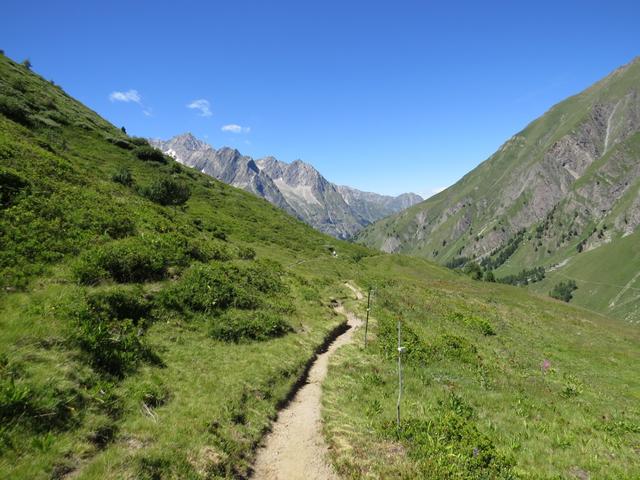 nach der Pause nehmen wir nicht den Wanderweg der ins Tal hinunterzieht, sondern wir biegen links ab...