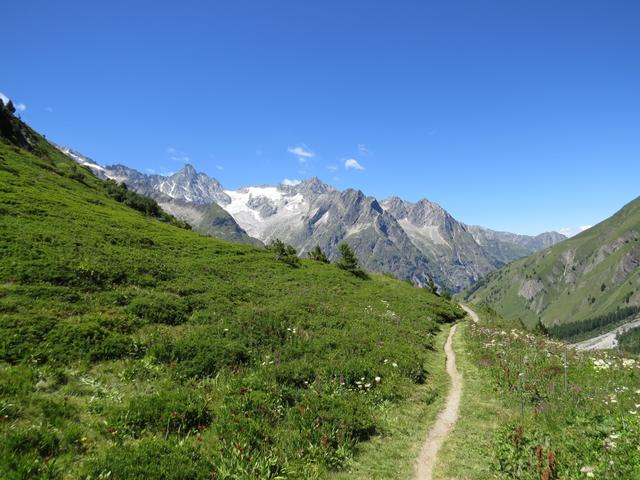 ...und wandern danach auf mehr oder weniger gleich bleibender Höhe, geradeaus weiter