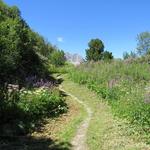 wir erleben einen abwechslungsreichen Höhenweg, der seinesgleichen sucht