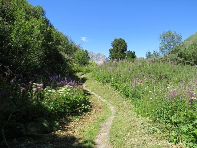 wir erleben einen abwechslungsreichen Höhenweg, der seinesgleichen sucht