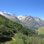 hoch über der Dranse de Ferret, führt uns der traumhafte Wanderweg, durch lichte Lärchenwälder