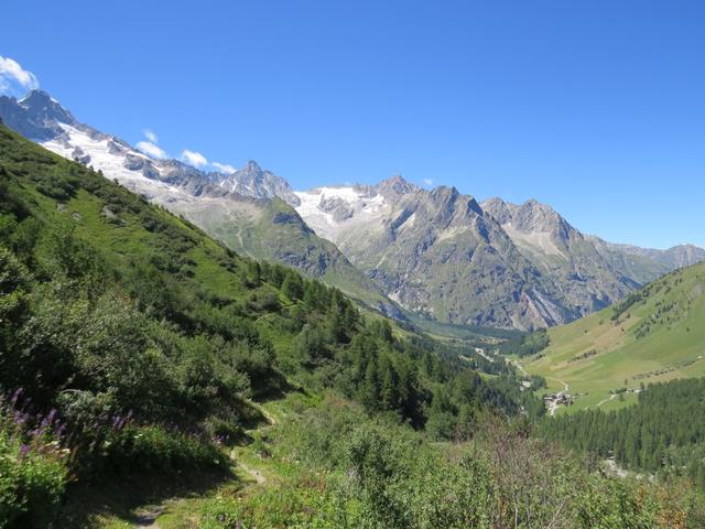 hoch über der Dranse de Ferret, führt uns der traumhafte Wanderweg, durch lichte Lärchenwälder