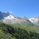 was für eine traumhafte Aussicht! Aiguille de Triolet, Mont Dolent, Aiguilles Rouges du Dolent und Tour Noir