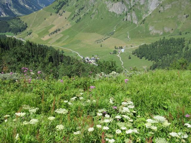 Tiefblick nach Ferret