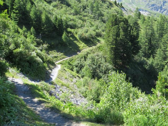 ab hier beginnt nun der Abstieg ins Tal