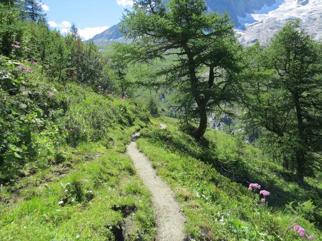 auf dem Weg zur Alp von Pramplo