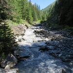 wir erreichen bei Punkt 1687 m.ü.M. wieder die Brücke über die Dranse de Ferret