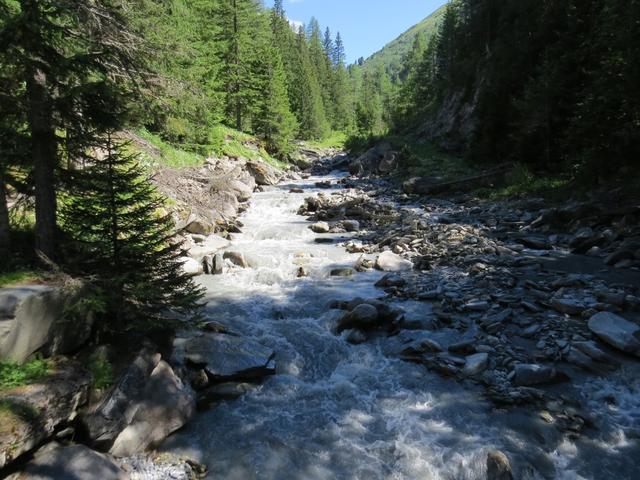 wir erreichen bei Punkt 1687 m.ü.M. wieder die Brücke über die Dranse de Ferret