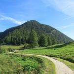 Blick zurück zum Col de la Forclaz und zum Mont de l'Arpille, den wir auch schon besucht haben