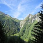 auf der anderen Talseite gut ersichtlich der Col de Balme. Es war eine schöne Wanderung als wir diesen Übergang besucht haben