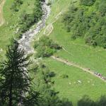 im Talgrund gut ersichtlich die Karawanen die auf der Tour du Mont Blanc unterwegs sind