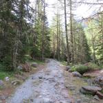 der nun folgende Aufstieg beginnt gleich hinter der Hütte, verläuft nur ein kurzes Stück nahe des Baches...