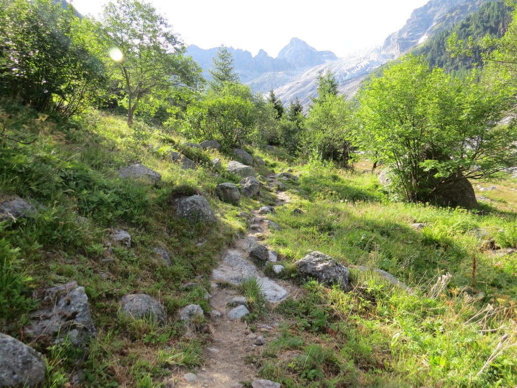 ...und biegt bei der Weggabelung Punkt 1658 m.ü.M. links ab