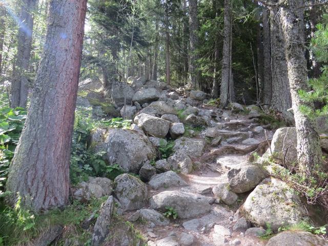 über einige Kehren zieht der Wanderweg nun links...