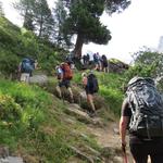 wir befinden uns auf eine Variante des "Tour du Mont Blanc" das von Courmayeur in die Schweiz führt