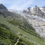 ein Eispanzer, aus dem die Gipfel der Aiguille du Tour und Aiguille du Pissoir wie schwarze Inseln herausragen