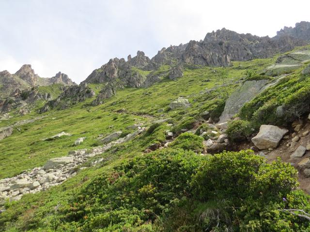 ein paar kurze Serpentinen gleich oberhalb der Alp von Vésevey werden nun überwunden