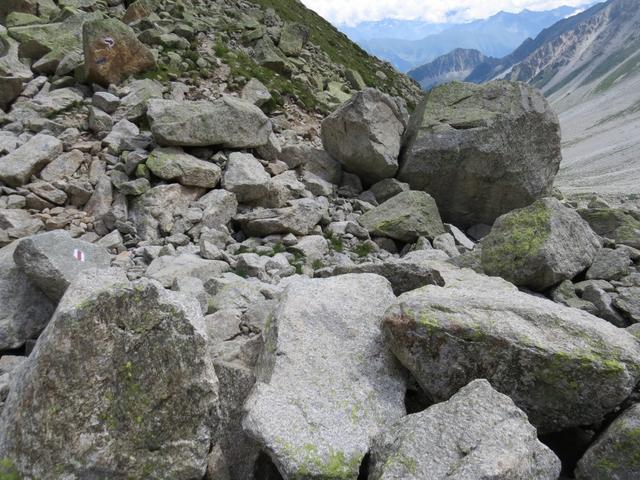 zum Teil Weglos, aber immer gut markiert, durchqueren wir diese Blockschuttlandschaft