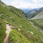 die karge Landschaft verwandelt sich wieder in ein sattes Grün