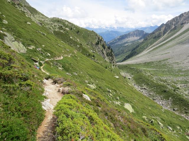 die karge Landschaft verwandelt sich wieder in ein sattes Grün