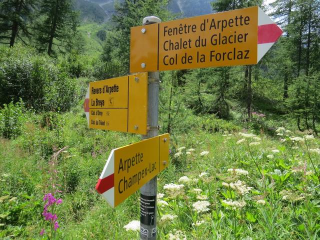 bei der Weggabelung 1822 m.ü.M. wandern wir geradeaus weiter Richtung Champex-Lac