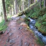 ...führt uns nun alles der Bisse du Petit Ruisseau entlang