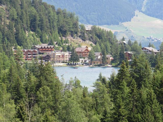 mit Blick auf den See von Champex verlassen wir den schönen Wald