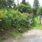 etwas oberhalb der Schnellstrasse Punkt 1664 m.ü.M., biegt der Wanderweg rechtshaltend ins Valsorey