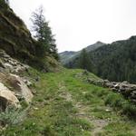 eine weite Schleife der Alpstrasse kann durch den Wanderweg abgekürzt werden