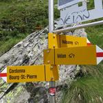 hier zweigt nach links am Chalet d'Amont vorbei der steile Anstieg zur Cabane de Valsorey am Grand Combin ab